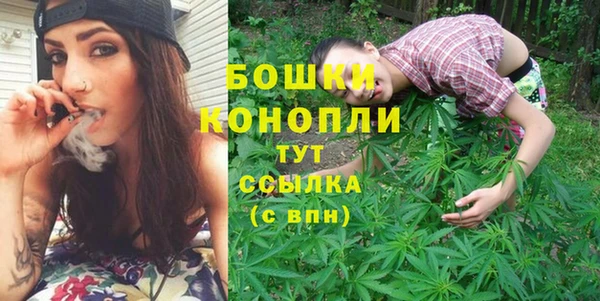 мдпв Верхний Тагил