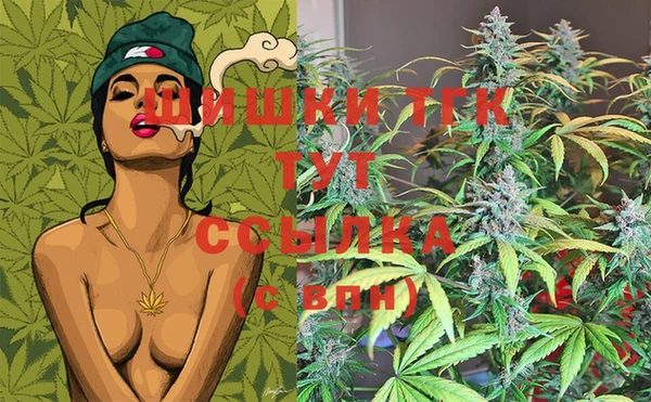 ECSTASY Бородино