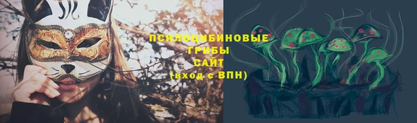 мдпв Верхний Тагил