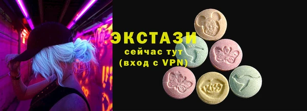 ECSTASY Бородино