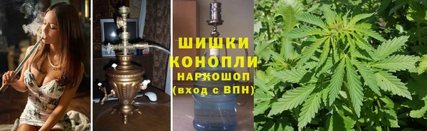 ECSTASY Бородино