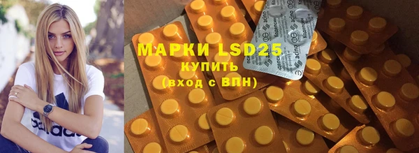 ECSTASY Бородино
