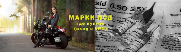 ГАЛЛЮЦИНОГЕННЫЕ ГРИБЫ Заволжск
